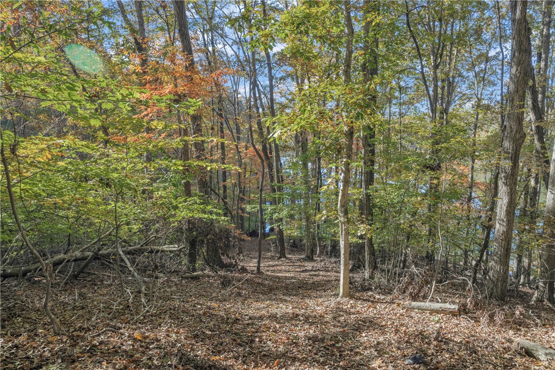 0 Oak Shore Court Seneca, SC 29678 - Photo 28 of 48