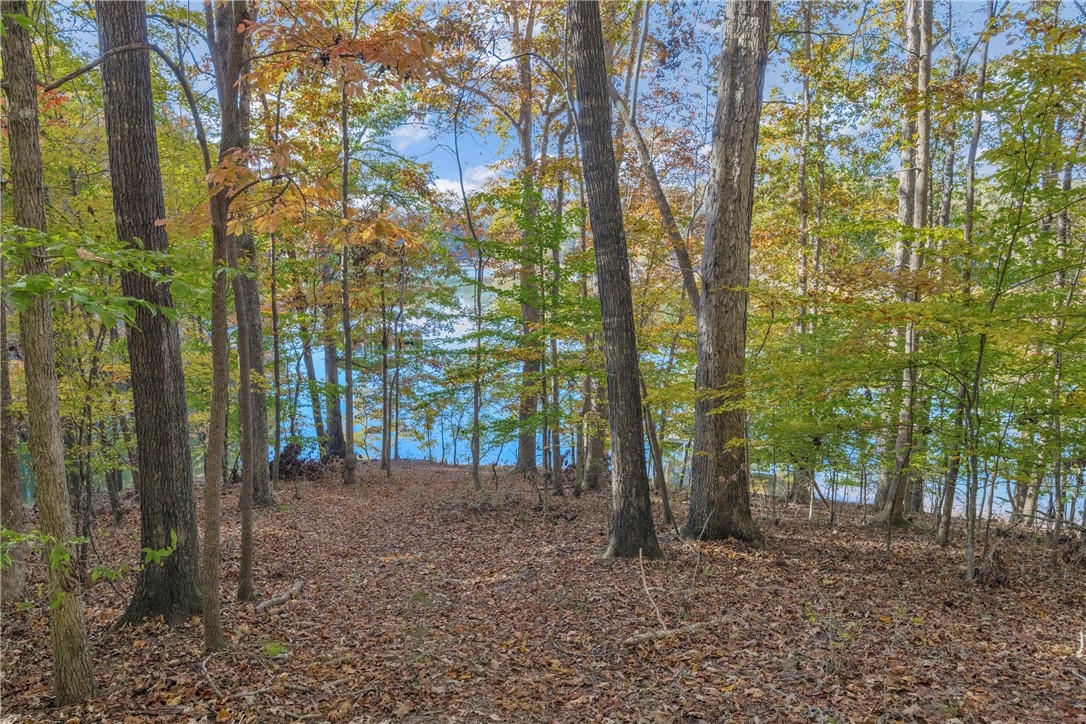 0 Oak Shore Court Seneca, SC 29678 - Photo 29 of 48