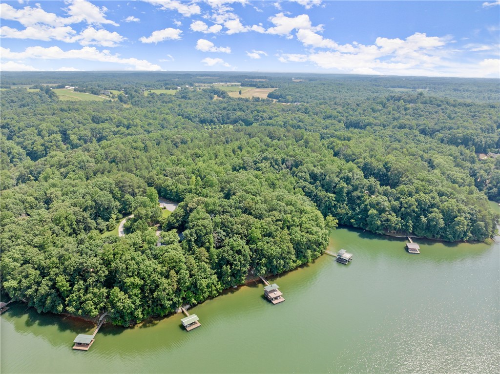 0 Oak Shore Court Seneca, SC 29678 - Photo 5 of 48