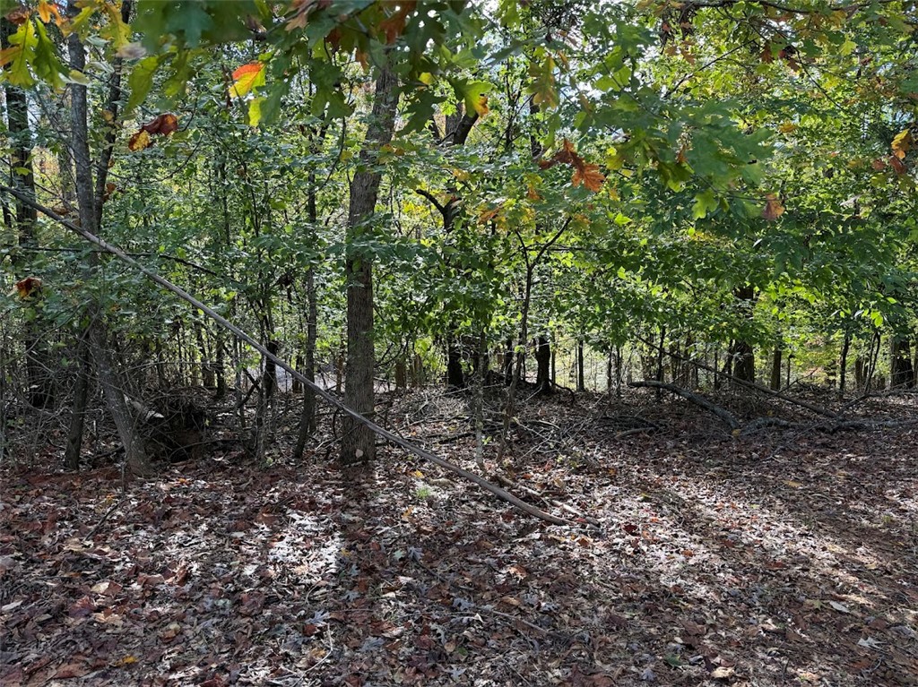 0 Oak Shore Court Seneca, SC 29678 - Photo 6 of 48 Path to dock
