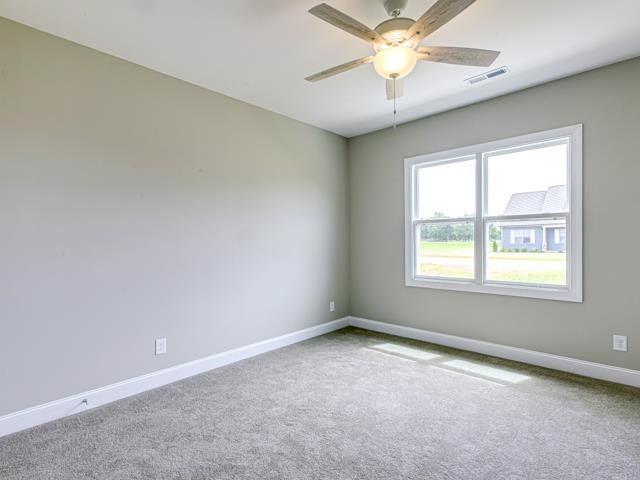 110 Indigo Road Lillington, NC 27546 - Photo 23 of 44 Photo 23