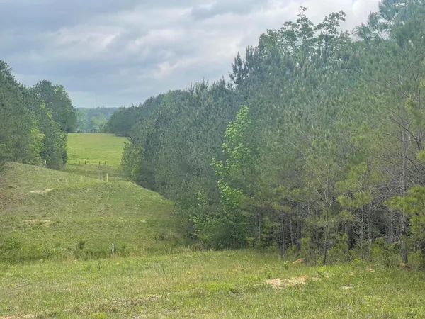 $182,287 | 0 Co Road, Bay Springs, MS 39422