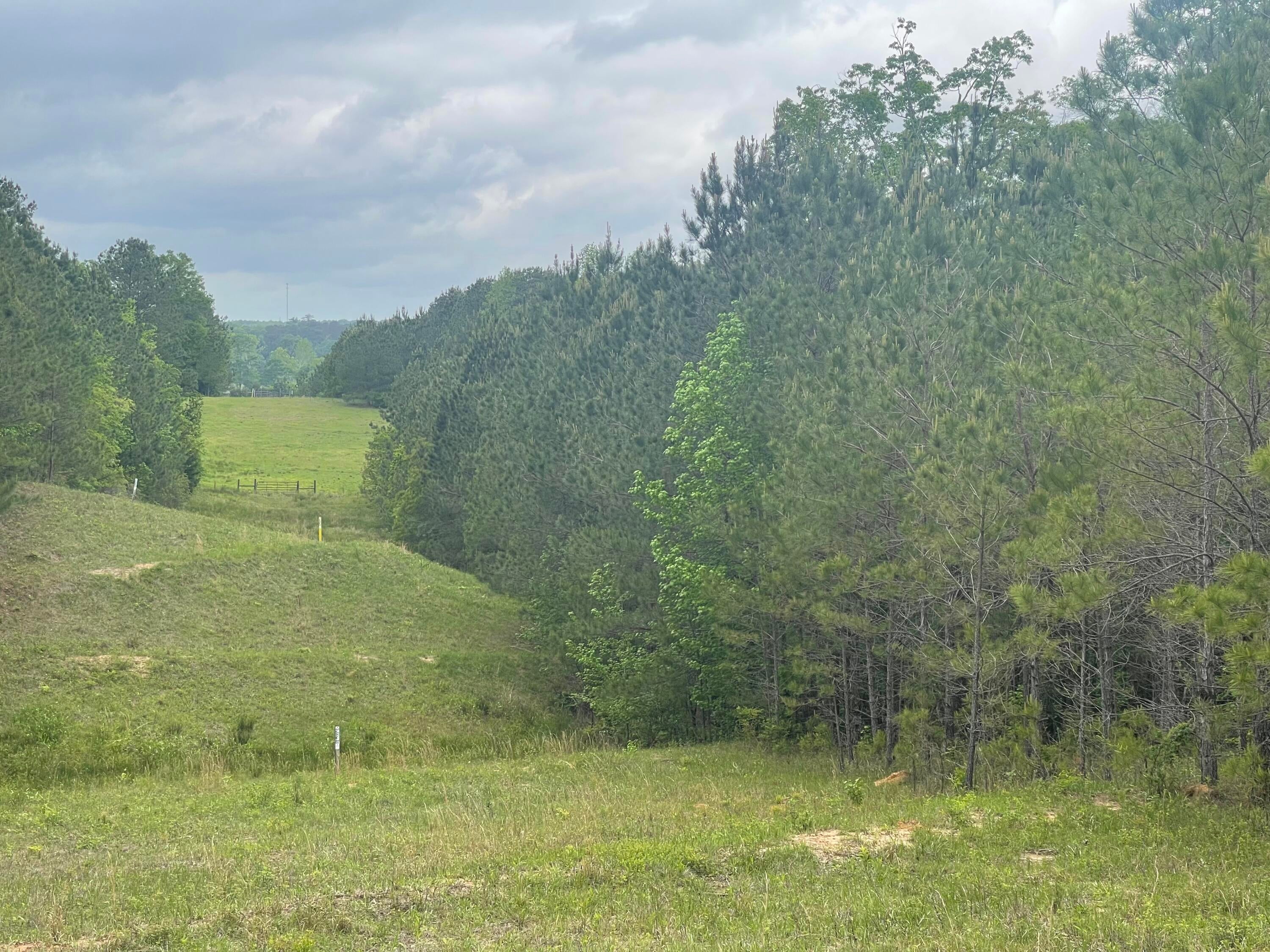 0 Co Road Bay Springs, MS 39422 - Photo 1 of 10 7