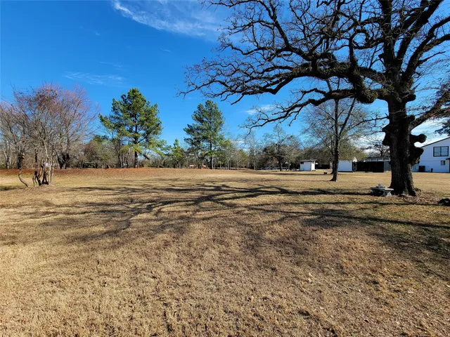 a view of road with large trees
