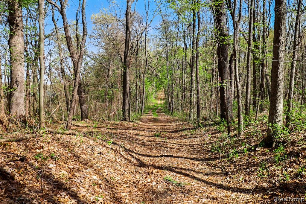 8815 Milford Road Holly, MI 48442 - Photo 25 of 52
