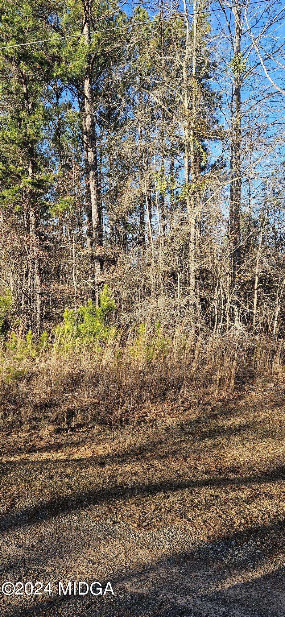 183 Gregory Drive Gray, GA 31032 - Photo 2 of 2 a view of a houses with a yard