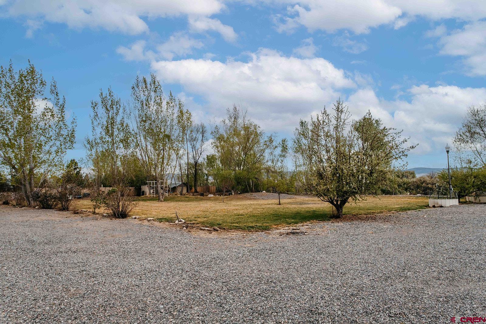 62203 Spring Creek Road Montrose, CO 81403 - Photo 13 of 37