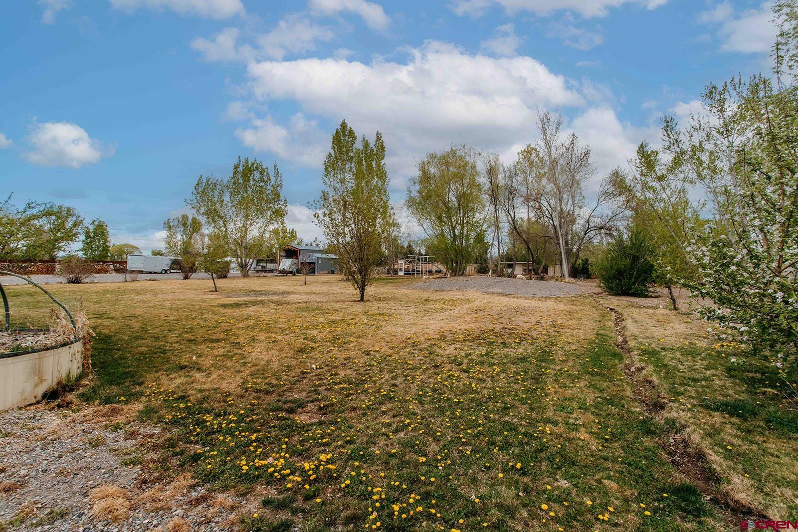 62203 Spring Creek Road Montrose, CO 81403 - Photo 7 of 37