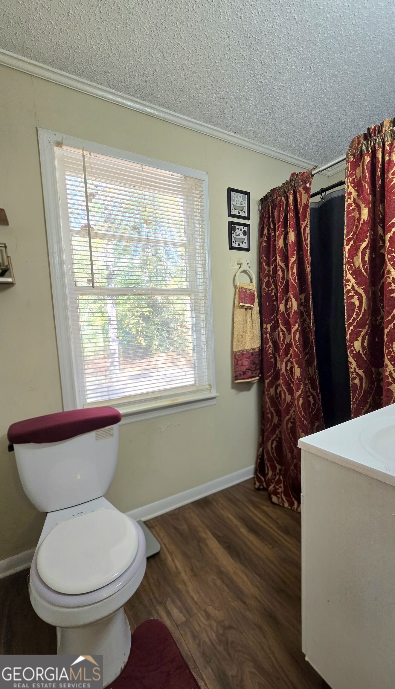 397 Dock Hyde Road Carrollton, GA 30116 - Photo 5 of 10 Gallery Image 5