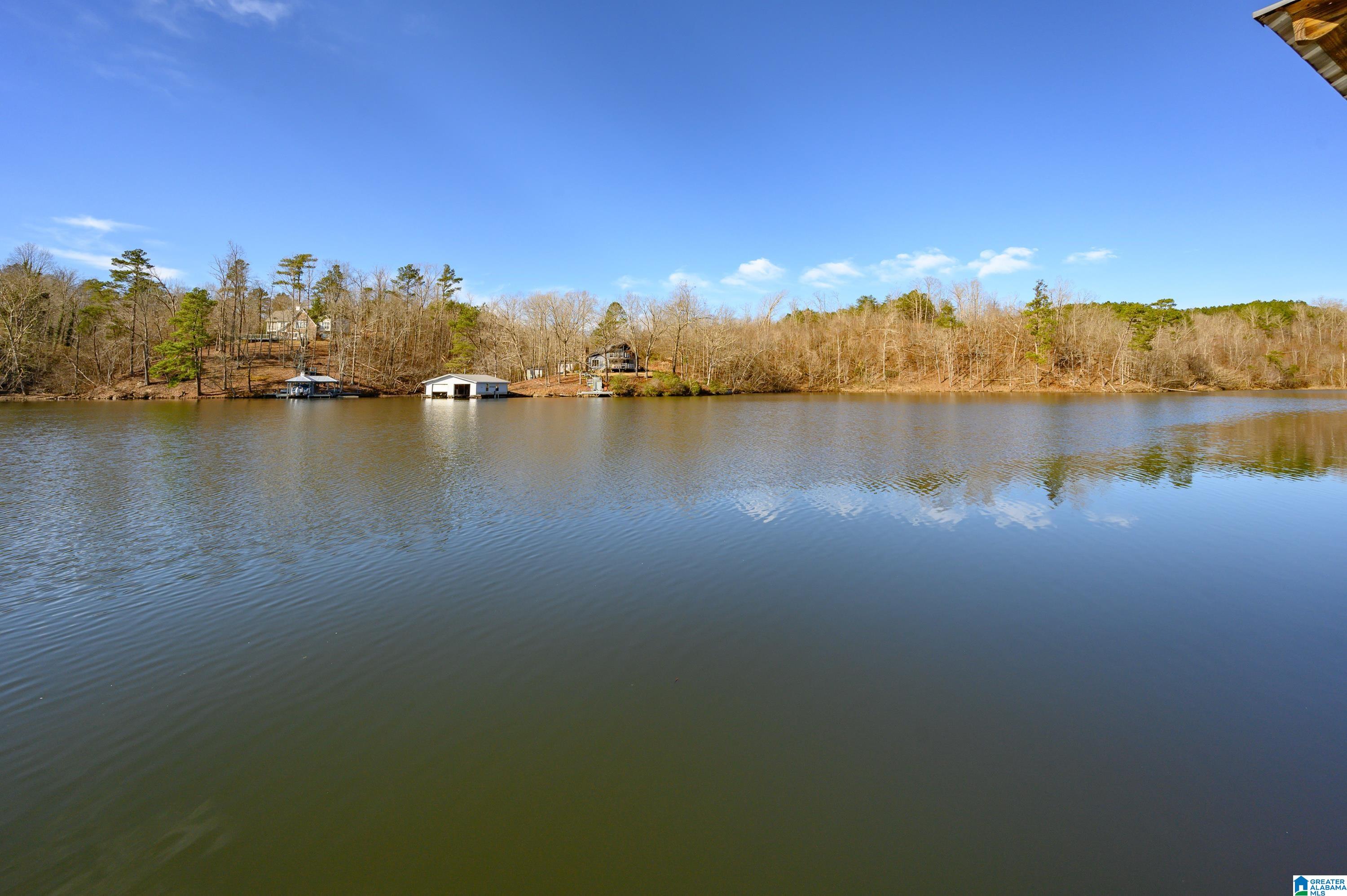296 Lakeshore Lane Oneonta, AL 35121 - Photo 50 of 66