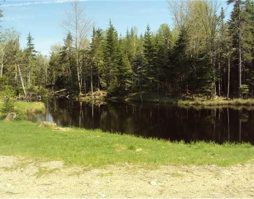 Lot 21 Pineo Point Road Harrington, ME 04643 - Photo 6 of 11 Land/Lot.