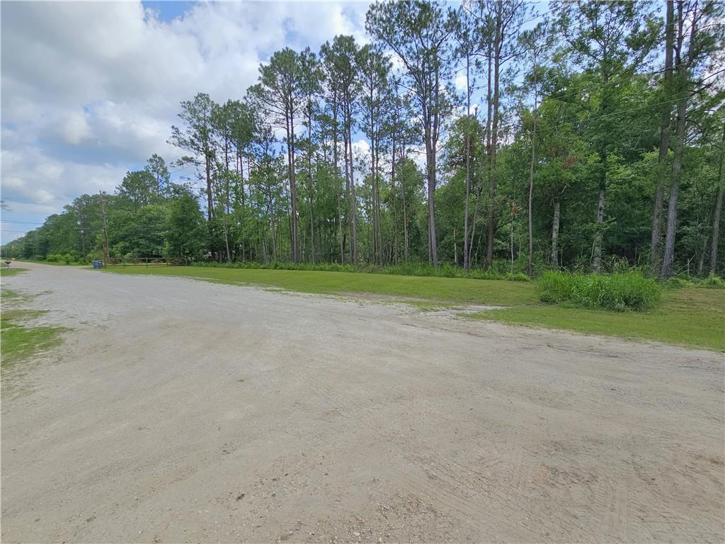 64533 Diamond B Ranch Road Pearl River, LA 70452 - Photo 6 of 35 Gallery Image 6