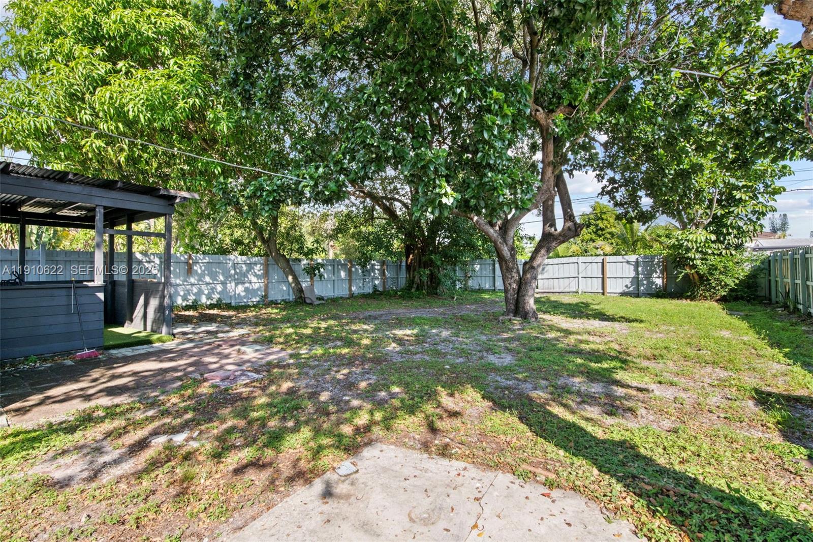 2227 Cleveland Street Hollywood, FL 33020 - Photo 2 of 11 a view of a yard with plants and a large tree