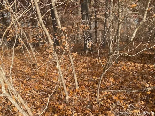 $39,000 | Lot 74 Eagle Bay Drive, Gravois Mills, MO 65037