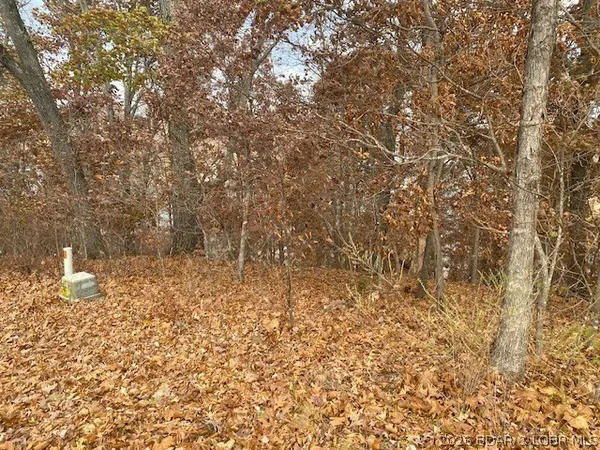 $39,000 | Lot 74 Eagle Bay Drive, Gravois Mills, MO 65037