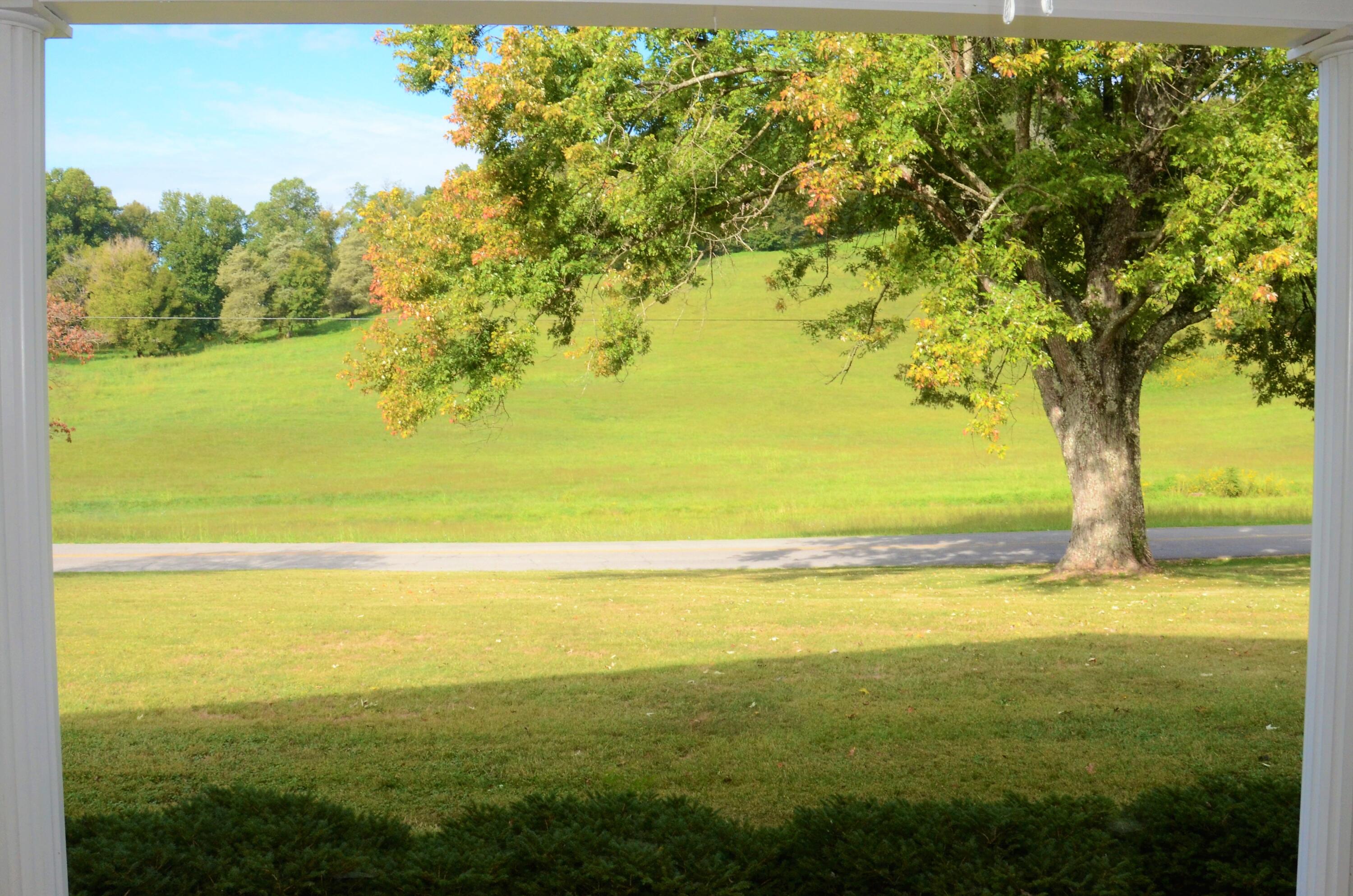 405 Sells Road Bluff City, TN 37618 - Photo 11 of 42 11 Front Porch View of Field