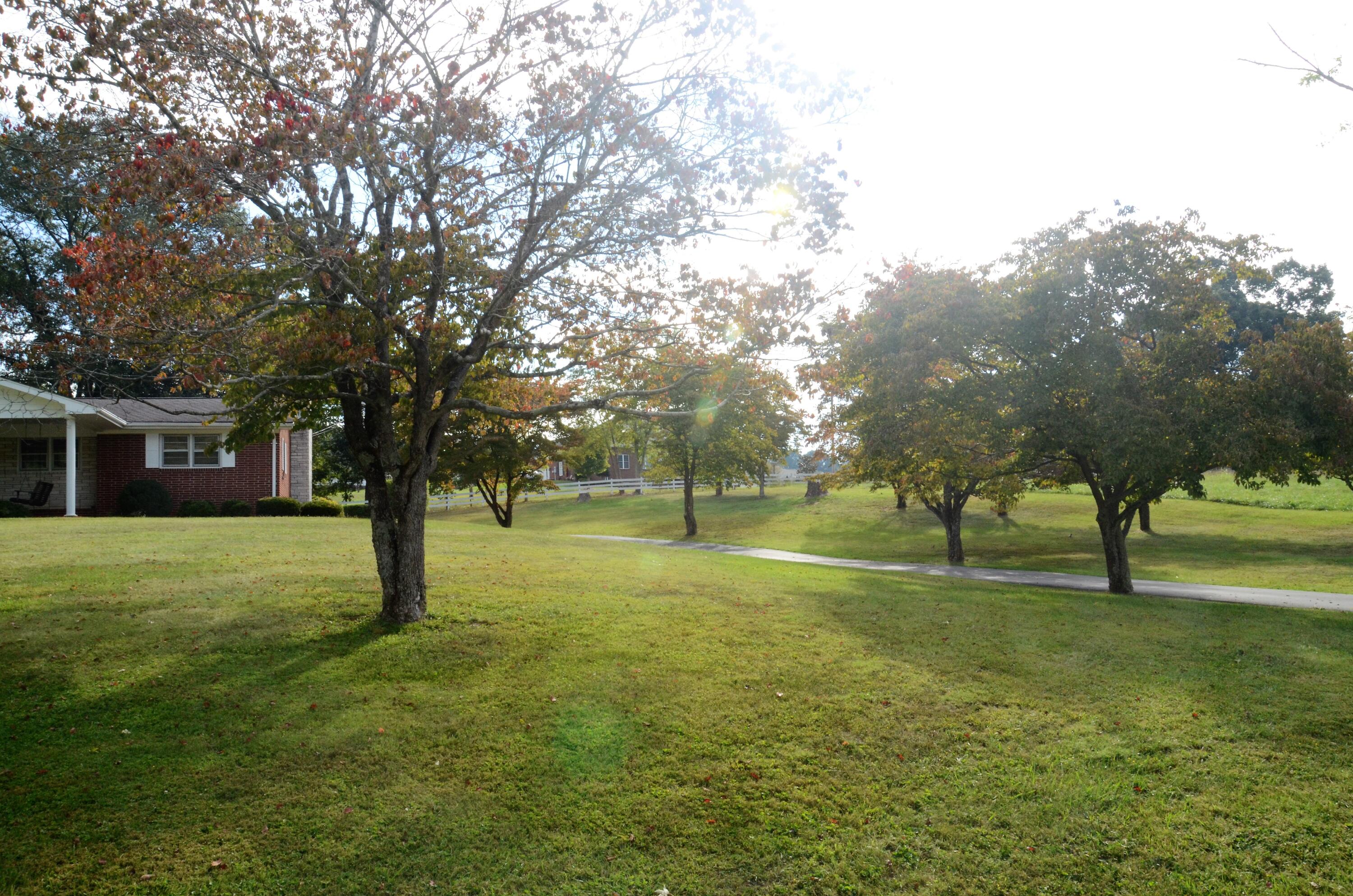 405 Sells Road Bluff City, TN 37618 - Photo 6 of 42 6 Outdoor Yard with Trees