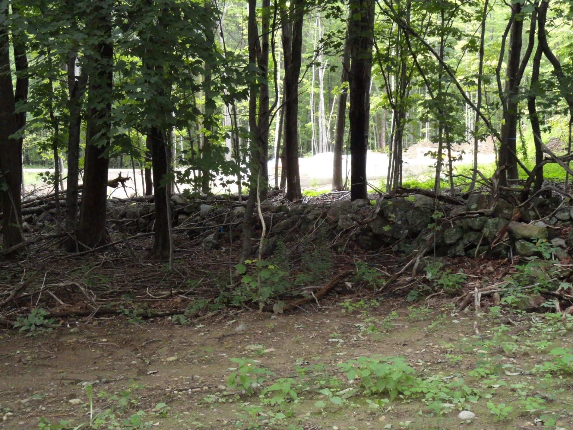 8 Prescott Road Pittsfield, NH 03263 - Photo 11 of 14