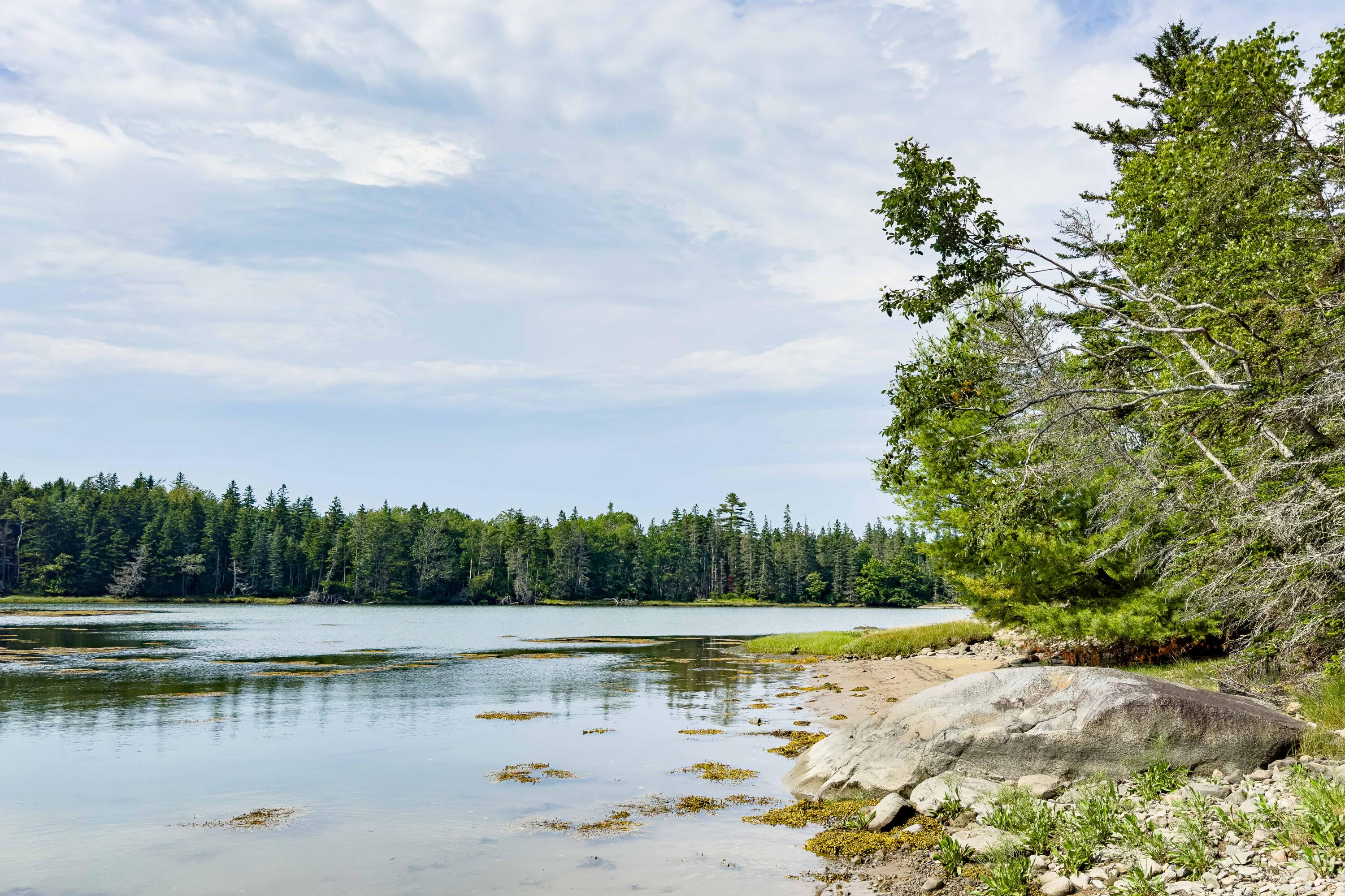 98 Harrington Cove Road Spruce Head, ME 04859 - Photo 10 of 49 98HaringtonCove_12_SS_mls