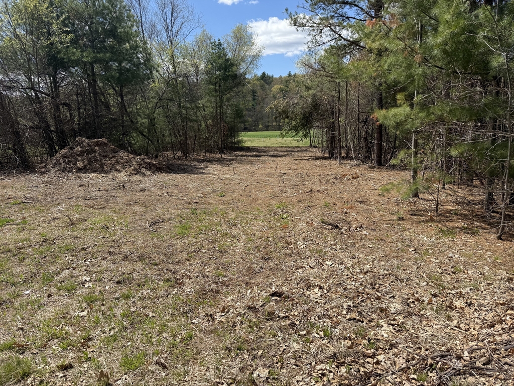 152 County Road South Southampton, MA 01073 - Photo 1 of 11 Gallery Image 1