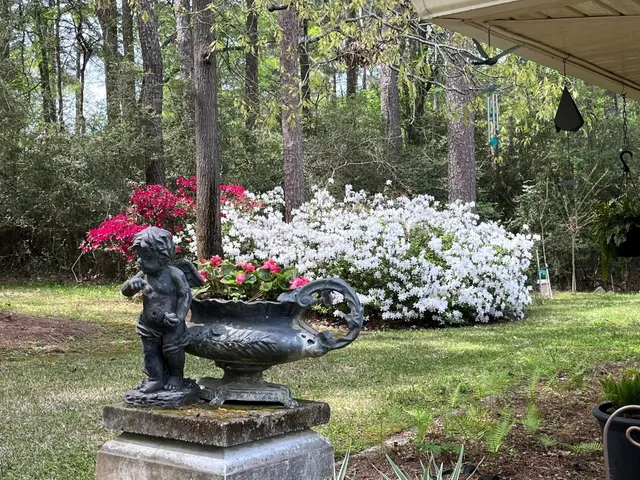 a view of a garden with flowers