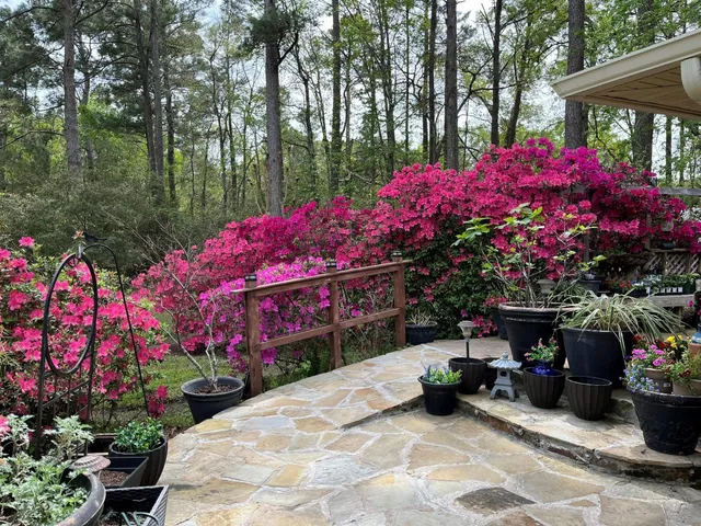 a view of a patio with a table and chairs and potted plants