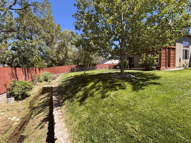a view of a yard with plants and large trees