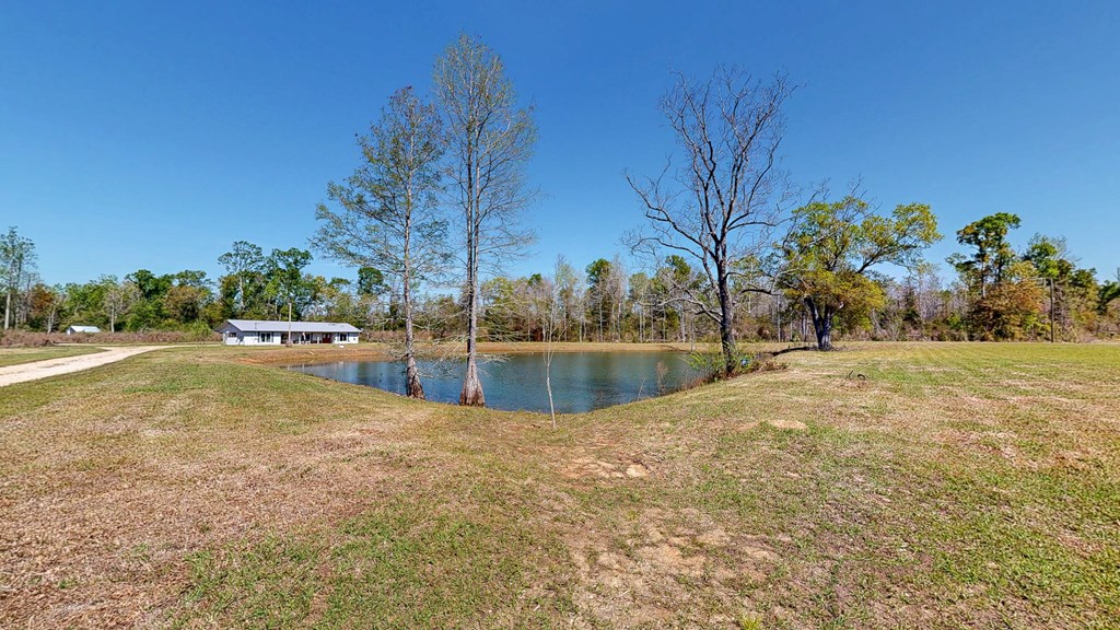 6615 State Line Road Cottonwood, AL 36320 - Photo 4 of 49