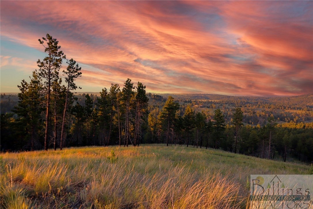 28 Eagles Nest Road Columbus, MT 59019 - Photo 1 of 1 Gallery Image 1