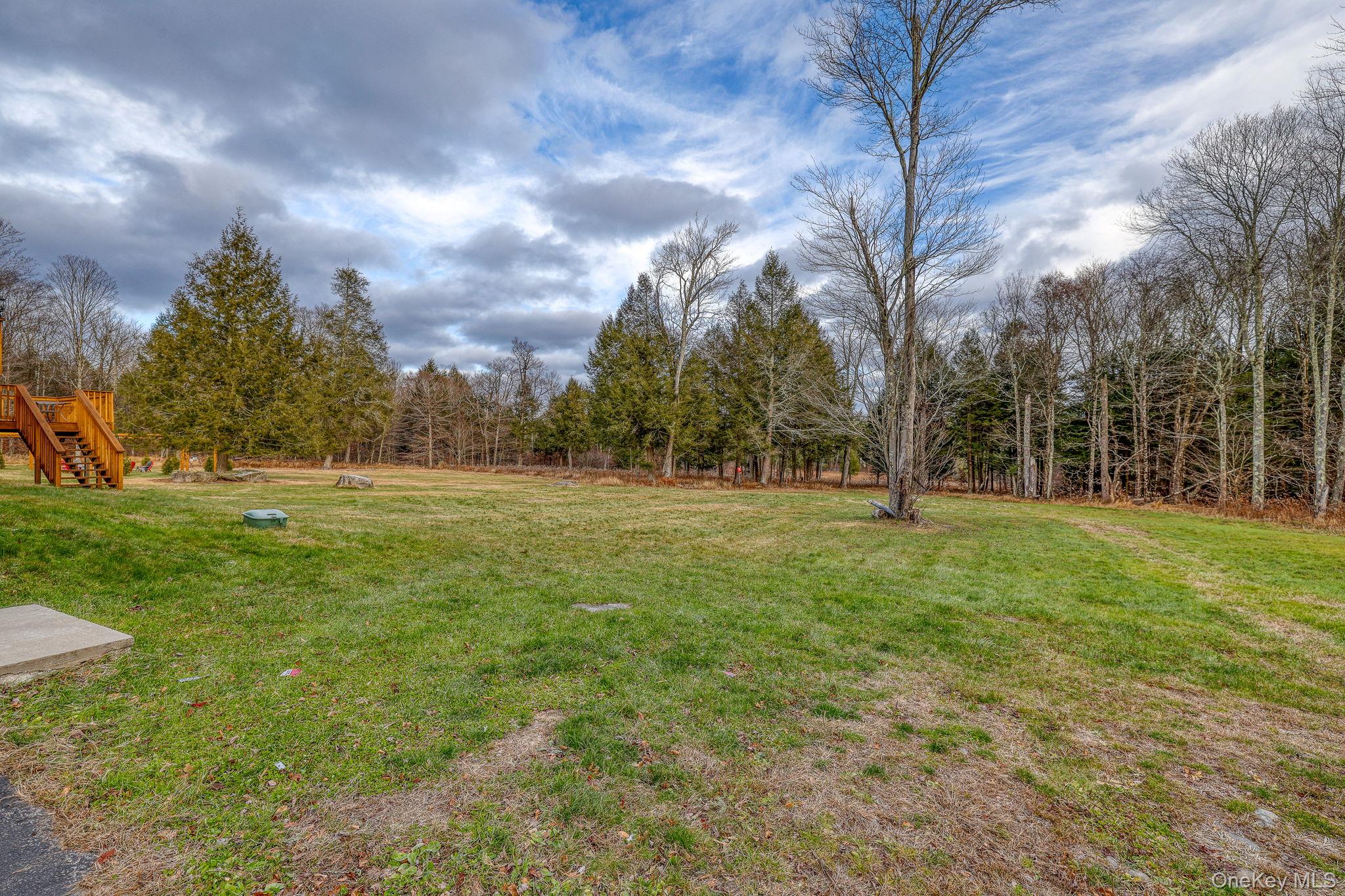 226 Big Woods Road Harris, NY 12742 - Photo 4 of 39