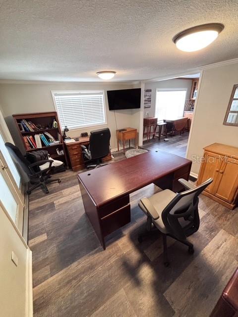12601 Double Run Road Astatula, FL 34705 - Photo 18 of 37