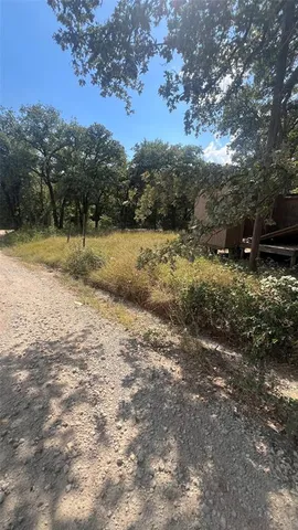 a view of a dry yard with trees
