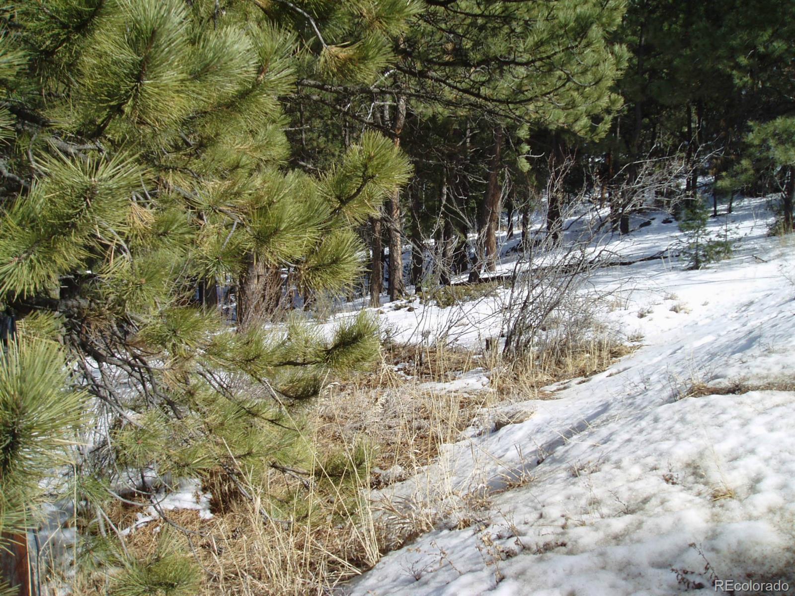 0 Roland Valley Drive Bailey, CO 80421 - Photo 1 of 2 Gallery Image 1