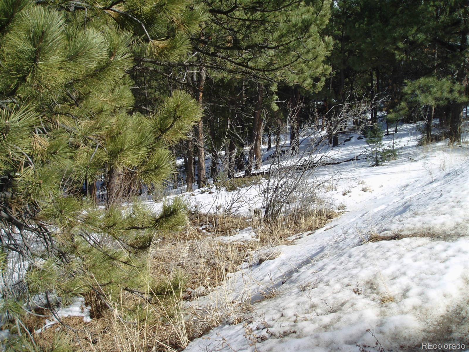 0 Roland Valley Drive Bailey, CO 80421 - Photo 2 of 2 Gallery Image 2