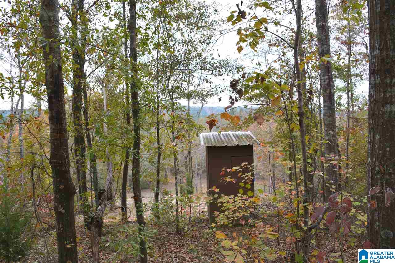 0 Jackson Loop Road, Unit 1 Ragland, AL 35131 - Photo 11 of 27