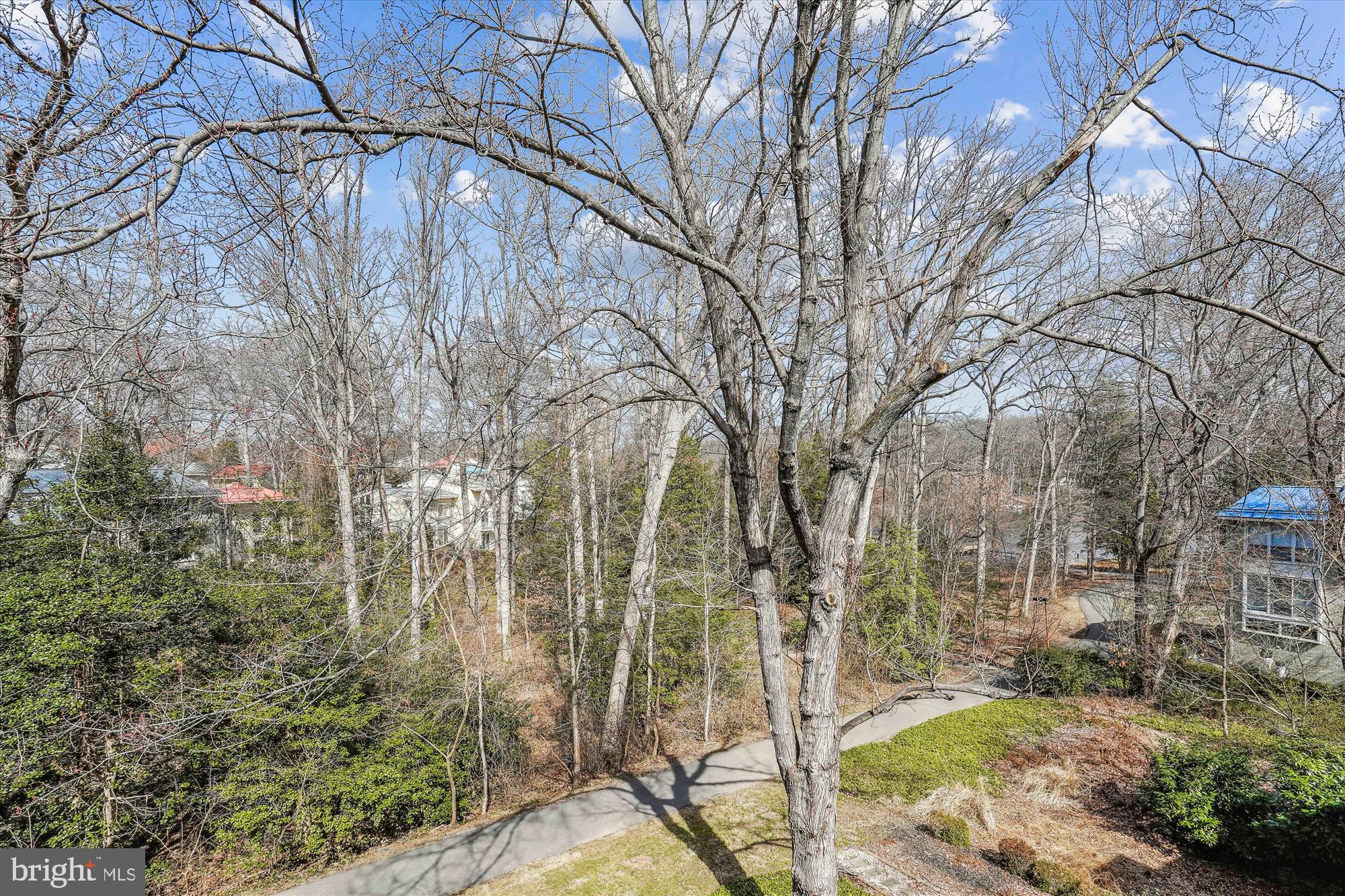 11472 Orchard Lane Reston, VA 20190 - Photo 35 of 47 View From 3rd Floor Deck