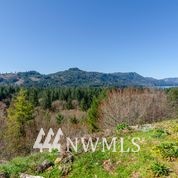 1136 Yale Bridge Road Amboy, WA 98601 - Photo 11 of 11 Gallery Image 11