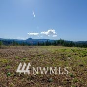 1136 Yale Bridge Road Amboy, WA 98601 - Photo 3 of 11 Gallery Image 3