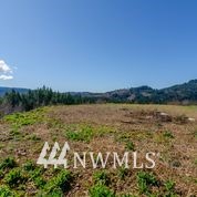 1136 Yale Bridge Road Amboy, WA 98601 - Photo 4 of 11 Gallery Image 4