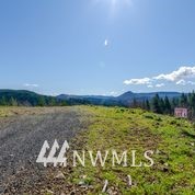 1136 Yale Bridge Road Amboy, WA 98601 - Photo 5 of 11 Gallery Image 5