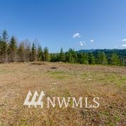 1136 Yale Bridge Road Amboy, WA 98601 - Photo 7 of 11 Gallery Image 7