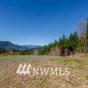 1136 Yale Bridge Road Amboy, WA 98601 - Photo 8 of 11 Gallery Image 8