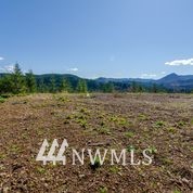 1136 Yale Bridge Road Amboy, WA 98601 - Photo 9 of 11 Gallery Image 9