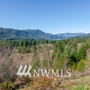 1136 Yale Bridge Road Amboy, WA 98601 - Photo 10 of 11 Gallery Image 10