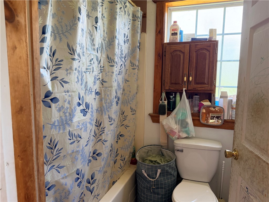 5805 Davis Road Alfred, NY 14803 - Photo 11 of 24 bath