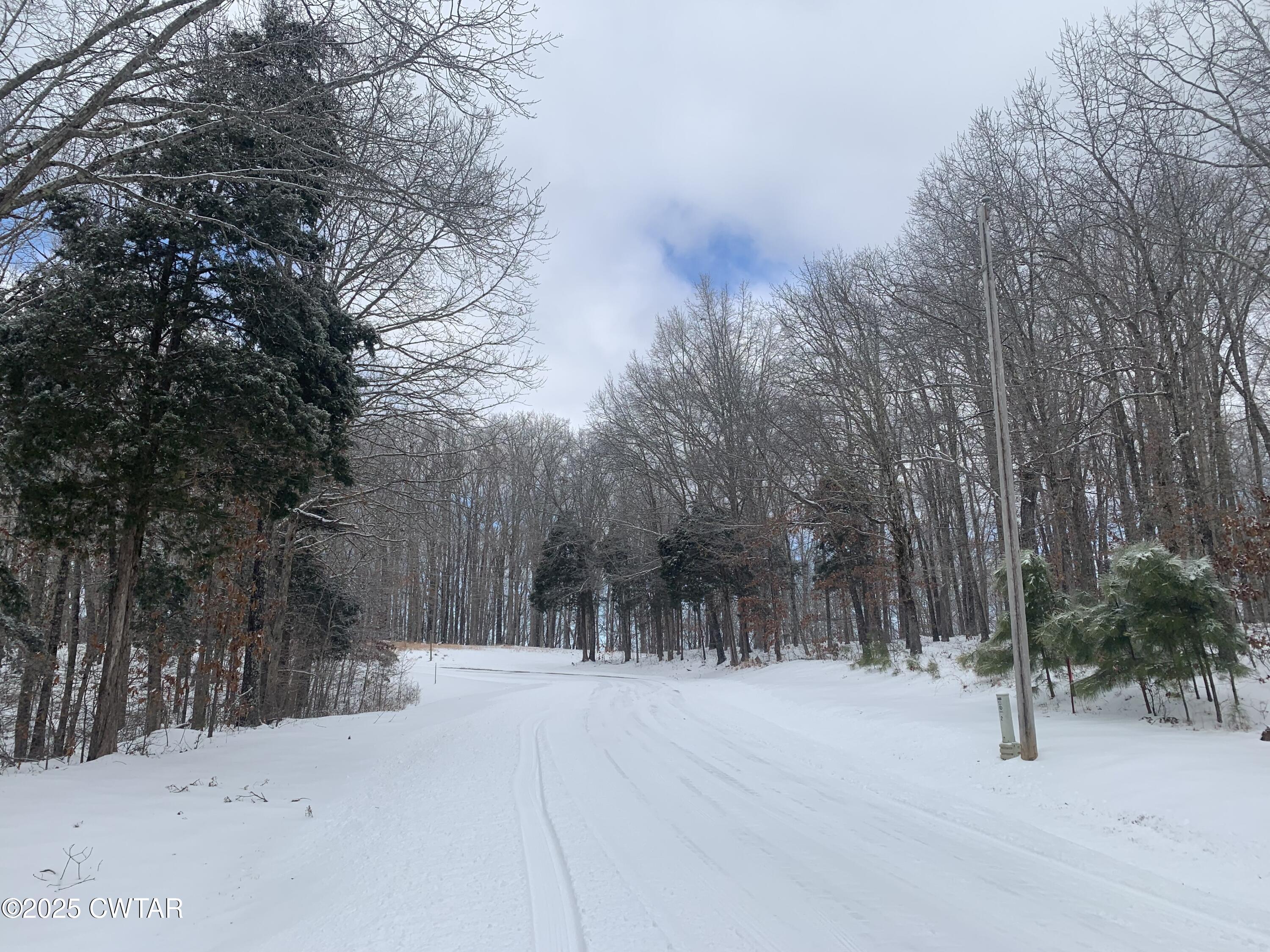 313 Logger Lane Cedar Grove, TN 38321 - Photo 11 of 11 a view of a road with trees in the background