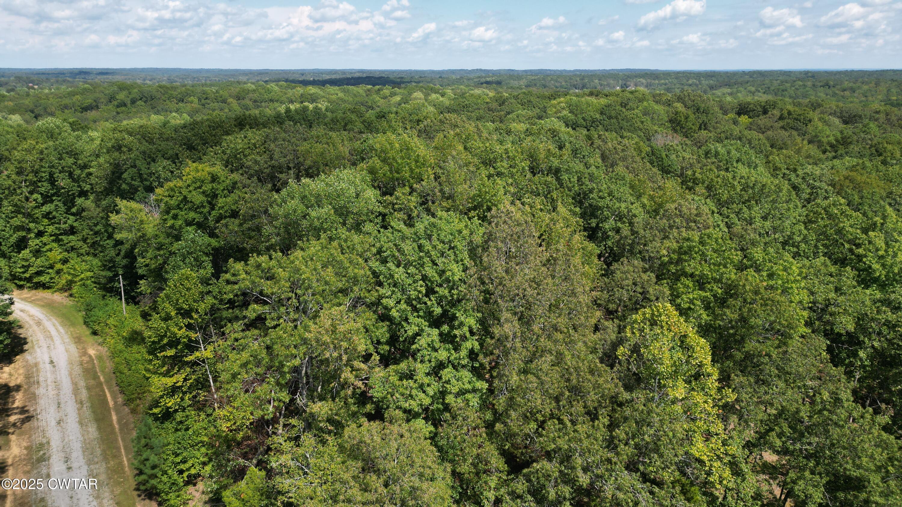 313 Logger Lane Cedar Grove, TN 38321 - Photo 3 of 11 a view of a field of grass and trees