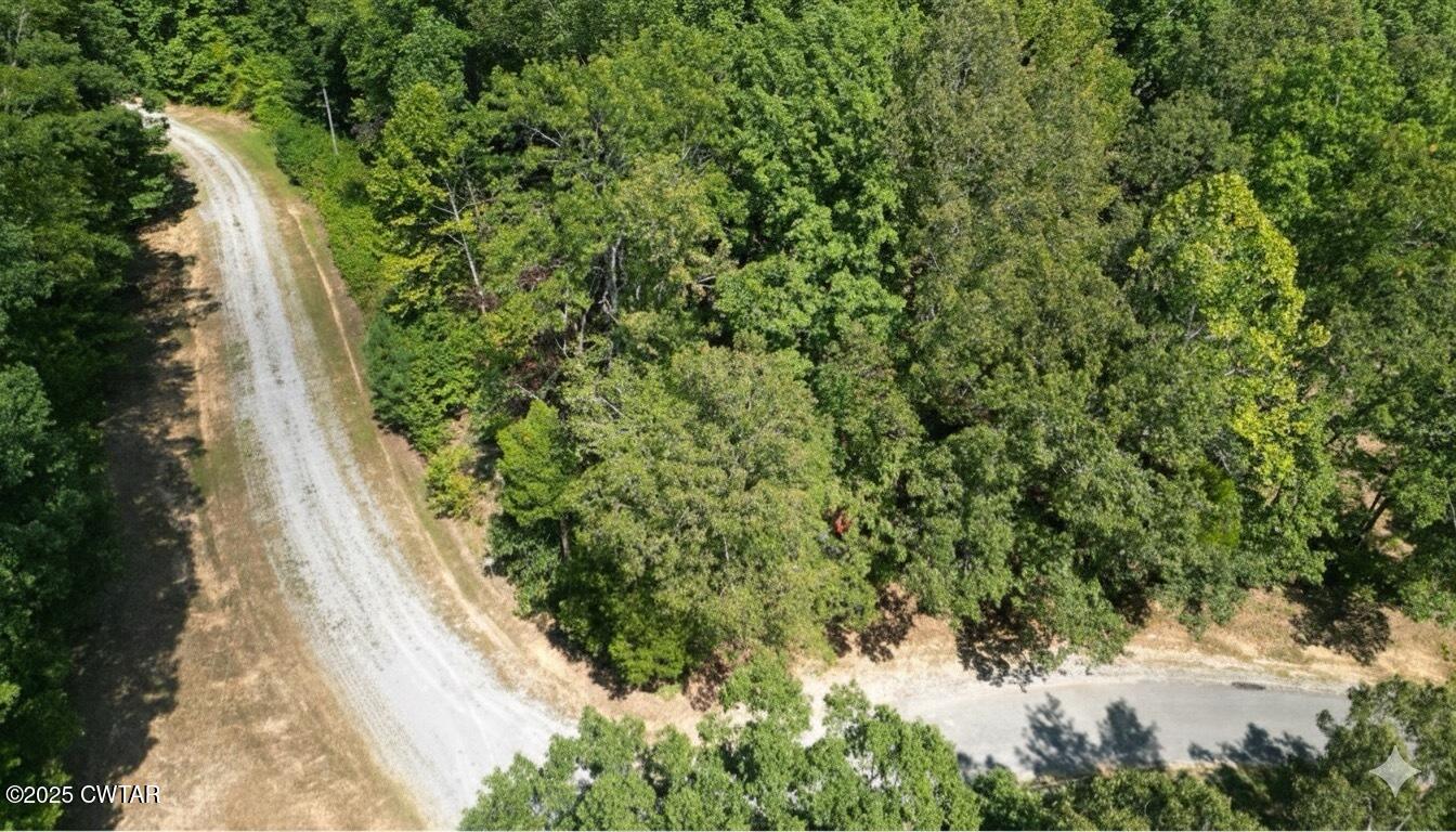 313 Logger Lane Cedar Grove, TN 38321 - Photo 4 of 11 a view of a yard with plants