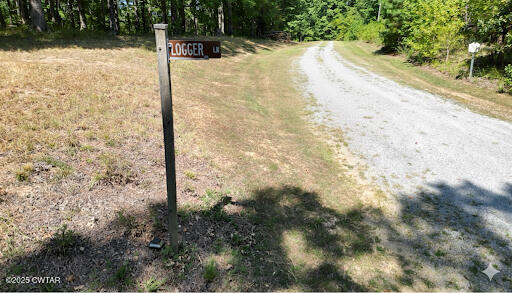 313 Logger Lane Cedar Grove, TN 38321 - Photo 5 of 11 a view of yard