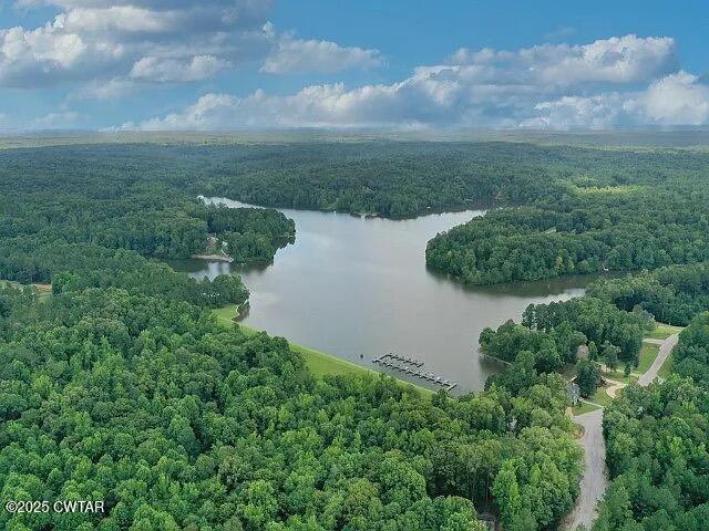 313 Logger Lane Cedar Grove, TN 38321 - Photo 9 of 11 a view of a lake with a yard